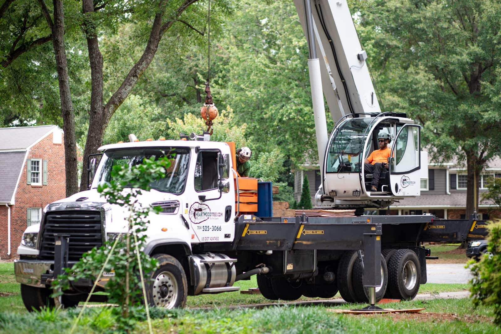 Completed tree care projects by Heartwood Tree Care