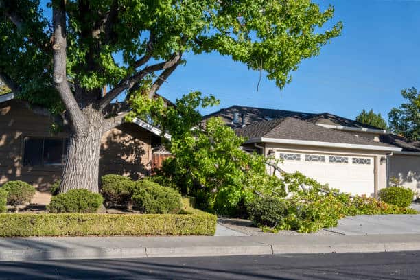 Emergency tree service and storm damage cleanup